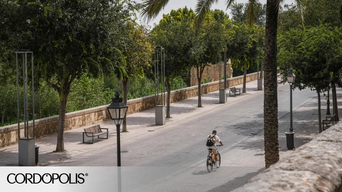 De infierno a paraíso: Córdoba se suma a una convocatoria para realizar un mapeo del arbolado urbano