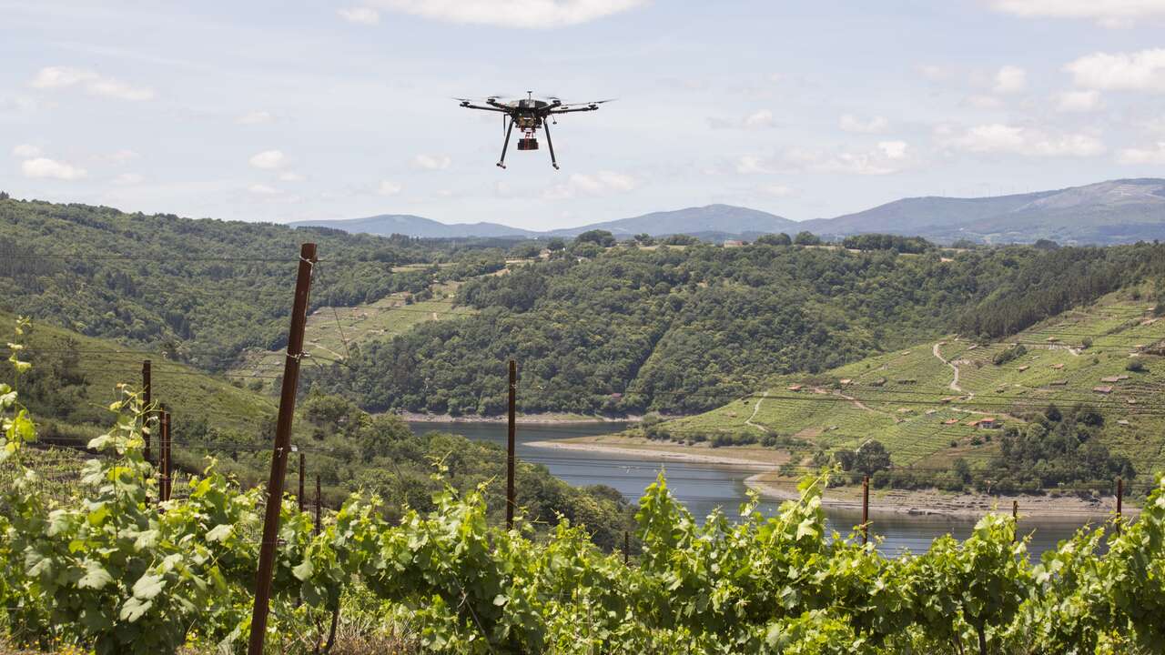 Inteligencia artificial y drones para modernizar la viticultura heroica en la Ribeira Sacra
