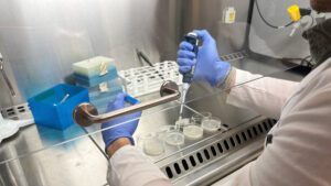 La inteligencia artificial se convierte en la nueva arma contra el colapso de la medicina por ... - COPE 6