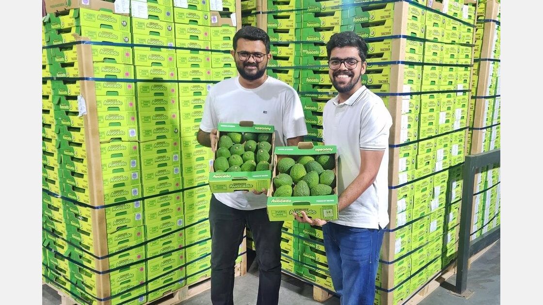 Una plataforma con inteligencia artificial persigue simplificar el comercio hortofrutícola internacional