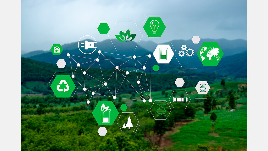 Incorporan inteligencia artificial para mejorar el análisis de los mercados hortofrutícolas