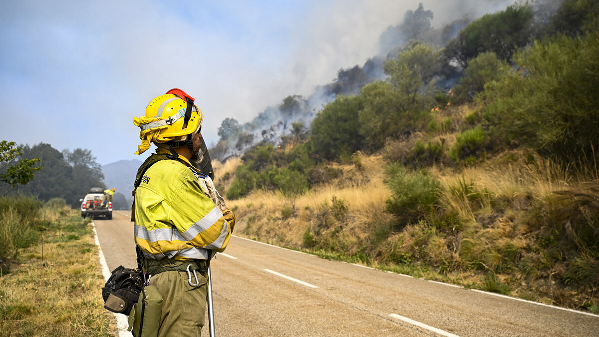 Sensores, satélites e inteligencia artificial refuerzan la prevención de incendios forestales en Castilla y León