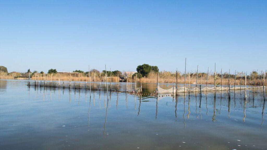 El CSIC lidera un proyecto que combina biorremediación, sensores e inteligencia artificial tras las inundaciones