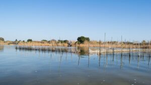El CSIC lidera un proyecto que combina biorremediación, sensores e inteligencia artificial tras las inundaciones 4